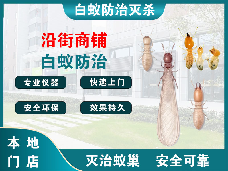 贾汪沿街商铺白蚁防治