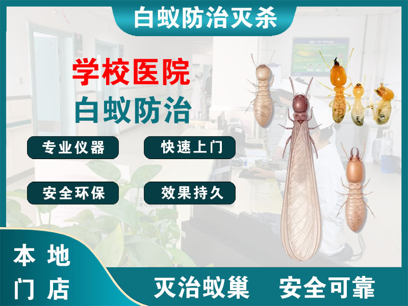 贾汪学校医院白蚁防治