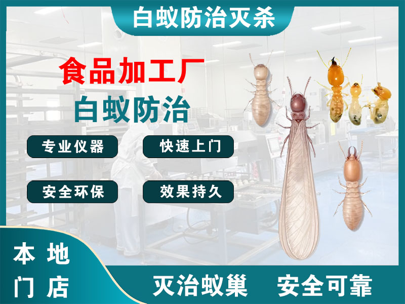 贾汪食品加工厂白蚁防治