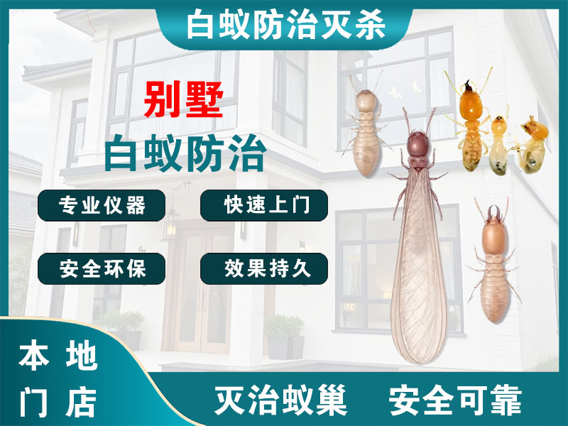 贾汪别墅白蚁防治