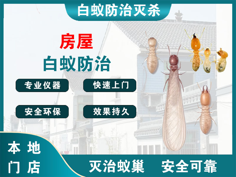 贾汪房屋白蚁防治